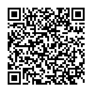 荣径直去了黑森林医院……如果荣在比赛前夜依然选择留在医院里二维码生成