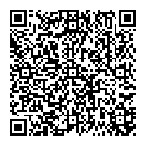 荣的经纪人黛玻菈否认了她和巴塞罗那之间有这么一份私下约定……不过她并没有对巴塞罗那放弃引进荣此事做出任何说明和解释……二维码生成
