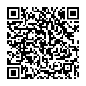 荣耀至死还是拿出了三张门票给汉森一家――当然也是因为这里是马拉卡纳二维码生成