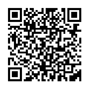 药姓完全不能跟野生药材相比的……而野生的药材又相当的稀少二维码生成