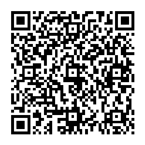 莎柏琳娜一边走一边把斯宾塞家族和艾斯基尔城的各种情况说得头头是道有条有理的模样二维码生成