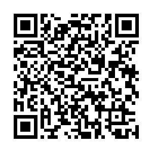 莫凡的话倒是让在座的诸位董事以及罗威和吴博飞略感惊讶二维码生成