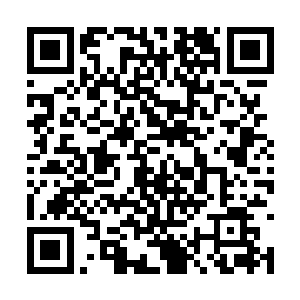 莫小鱼估计爵爷从郎坚白手里出去的伪作不计其数二维码生成