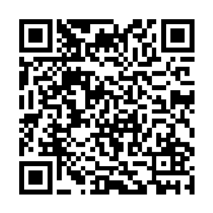 莫小鱼在电影里见过少林寺的和尚用手提着木桶打水二维码生成