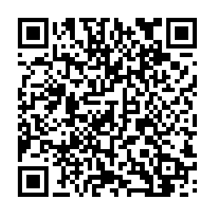 莫小鱼是在路上坚持下车取了一万的现金又在街口的小卖店里买了红包装好的二维码生成