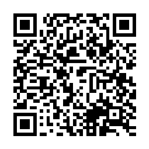 莫小鱼本想悄悄的绕过他们去后殿看看顾依依和小飞花怎么样了二维码生成