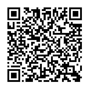 莫崎神识精准的看到了那位于密密麻麻裂痕中新出现的一道巴掌长的裂痕二维码生成