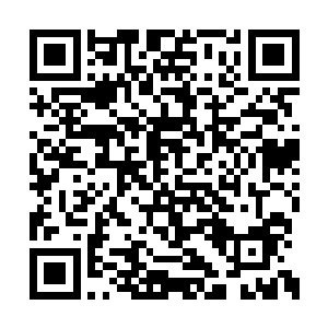 莫德尔爵士抓住保罗教皇的一个假传神旨的破绽二维码生成