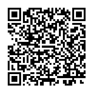 莫春娇和周兰昕因为前一年花了不少的时间在熟悉灵术的运用和操控上二维码生成