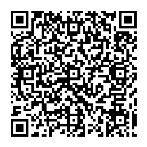 莫轻敌正想着再次站到小透明狗的前面去会不会引起它的强烈反感以后再也不给自己吃食的时候二维码生成