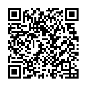 莫非是拔刀门和玄剑门为了吞并其他宗门早就设计好的二维码生成