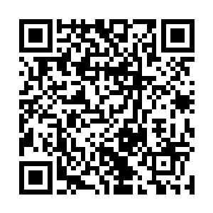 莫非这木萦果真如传言那样是个万中无一的单灵根天才二维码生成