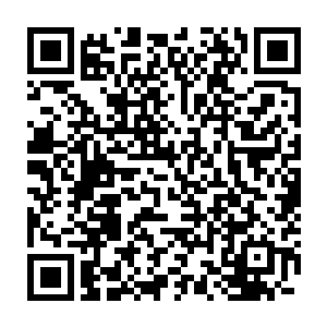 莱尔之前的真实记忆和人格都已经被那位客卿长老用灵魂秘术所封印二维码生成