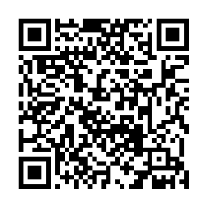 菊下小次郎似乎也没想到林辰竟会隐藏着如此可怕的攻击二维码生成
