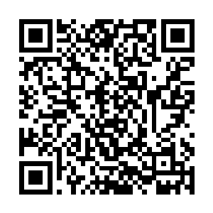 菊下小次郎此刻用着极为愤怒的神色看着眼前的林辰二维码生成