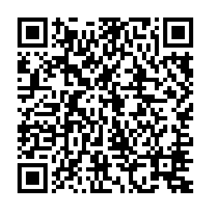 菲尼克斯在脑子里模拟了无数次的对决是两人堂堂正正的对射分生死二维码生成