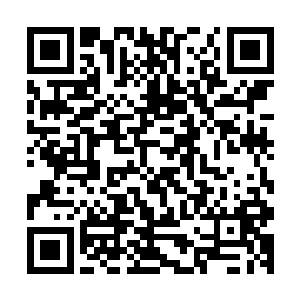 菲茨杰拉德更可怕一点――所以他是美国最伟大的小说家之一二维码生成