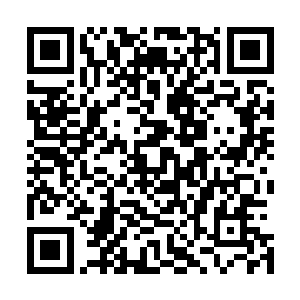 萌萌的可爱模样让慕容仙儿忍不住再次蹂躏了一番它的脸蛋二维码生成