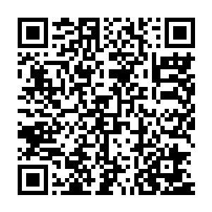 萧公子……像他拿着写好的文章给二老爷点评的寒门子弟不在少数二维码生成