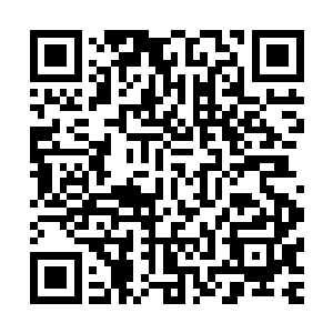 萧强为啥不请排名前三的其他两个顶级设计师来帮他设计住所二维码生成