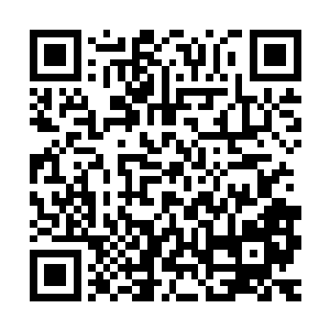萧摇和冷昶睿两人现在已经完全可以肯定那个大毒枭就在这里了二维码生成