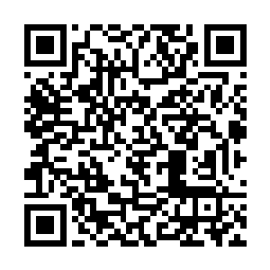 萧摇和冷昶睿现在还没有想到破迷雾森林阵法的办法二维码生成