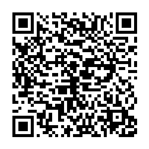 萧易仿佛一个木偶一般的苦着一张脸的被他推到了前面舞台的后面二维码生成