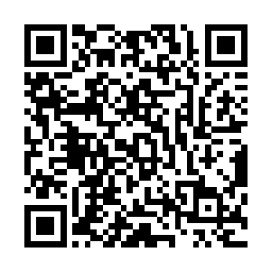 萧易目光扫了一眼刚刚自己翻完的大大的摆满了书籍的书架二维码生成