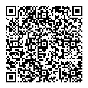 萧樱他们都未必理解自己为什么会对江洲古镇打造这样一个怎么看都比不上一个大型工业项目更重要更有价值的事情如此重视二维码生成
