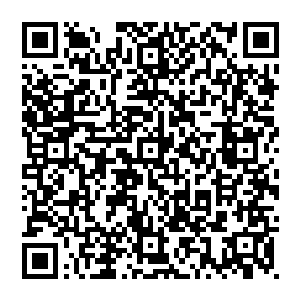 萧风乘坐电梯上楼发现房门锁着给螃蟹打去电话他正和小七在外面逛街呢他沒办法只能又下去找前台打开了房门二维码生成