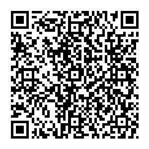 萧风就把他和由美认识的过程说了一遍当然有些敏感情节比如如何和由美在床上啪啪啪全都一笔带过沒有细谈二维码生成