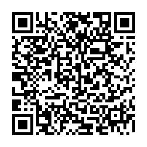 萧风已经下定决心自己不是一个人了自己需要守护的太多一定不能出任何问題二维码生成