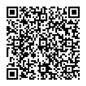 萧风给老王介绍了一下小七又询问昨天火器归还的事情老王简单说了句一切都搞定了二维码生成