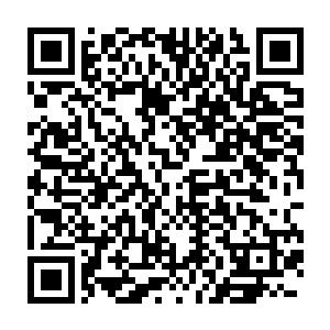 萨古斯绝对不相信张铁在这种时候还会觉醒第二种华族的先祖血脉二维码生成