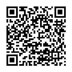 萨拉斯也就彻底放弃抵抗了――反正从来就没抵抗过二维码生成