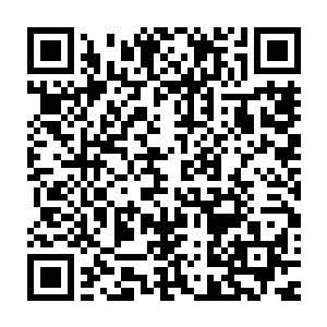 萨缇莱萨除了会砍人外就只会吃和卖萌以及不经意的给自己放福利二维码生成