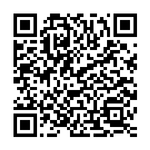 落在紫象皇巨象化的身躯上根本没有给紫象皇造成丝毫的伤害二维码生成
