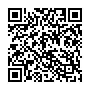 落地青玉缠枝莲纹瓶里插着几枝清晨才刚刚采下来的花枝二维码生成