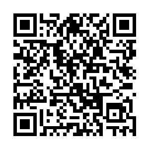 落潮似乎已经习惯凌蘭每次死亡线上回来都会恍惚的样子二维码生成