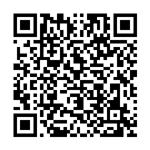 落石城的司法总长包疯子可是一个绝对不会姑息任何人的家伙二维码生成