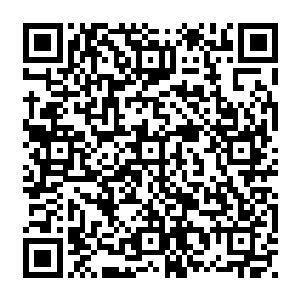 落霞沙漠实际上就是一个小型的通道通往无尽星空某处禁地……不过……今日看来二维码生成