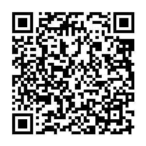 著名科学家爱因斯坦先生与普朗克先生以及众多科学家来到了咱们华夏民国二维码生成