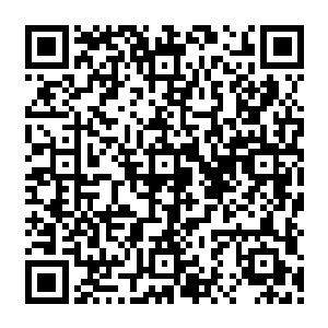 蒂森电梯项目和华达蒂森特种钢材项目这两个项目只要能有一个能落户我们黎阳经开区二维码生成