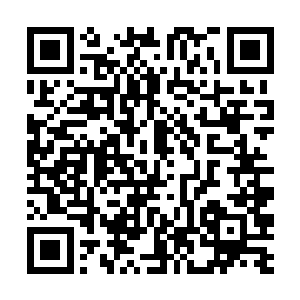 蒂莫・布劳尔在赛后又在他的博客上刊登了一篇文章二维码生成