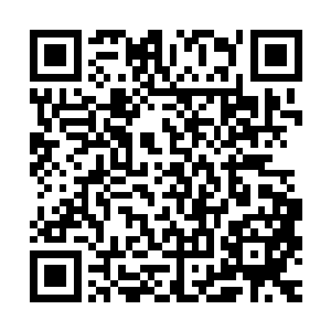 蒋少宇又怎么敢自己带战队去攻打我们第一男子军校的大本营呢二维码生成