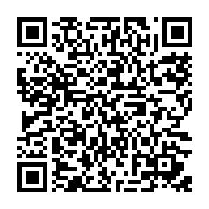 蒋欣却愿意辍学去打工帮母亲减轻负担供养弟弟上学…可是生活就是这般捉弄人二维码生成