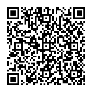 蓝玉中的灵草竟然和商修者月夏和星蓝出发前说要得到的那三种灵物中的一种一模一样二维码生成