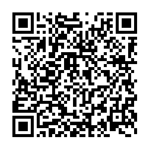 蓝色维特斯巴士当初由安家第二十任家主从拍卖会上以1200万英镑拍得二维码生成