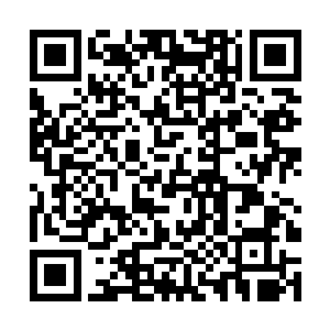 蓝衣和白衣同时扯了扯视线没有离开月兮分毫的绿衣二维码生成