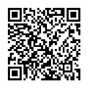 蔓延了几十海里的巨型海藻竟以肉眼可见的速度生长了起来二维码生成